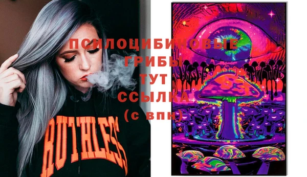 ешки Заводоуковск