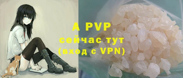 амф Заволжье